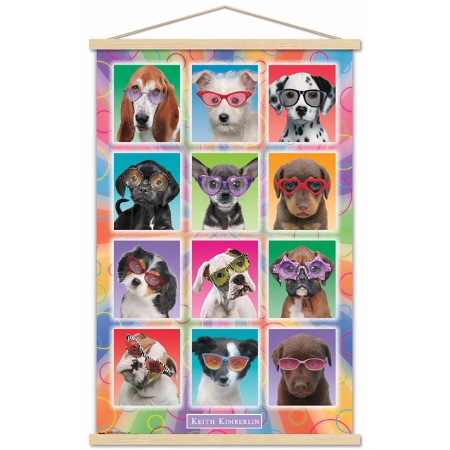 Keith Kimberlin - Chiots - Lunettes de soleil