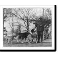thumbnail image 2 of Historic Framed Print, [Albert Payson Terhune, 1872-1942, full-length portrait, standing, facing left, with 4 dogs], 17-7/8" x 21-7/8", 2 of 9