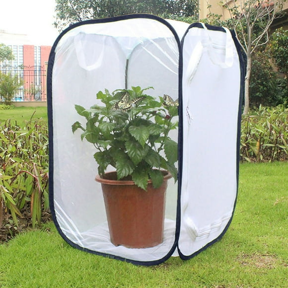 asddcavvf Portable Collapsible and Habitat cage Terrarium Open Habitat Cage Housing Enclosure 40X40X60CM Vegetable Pack