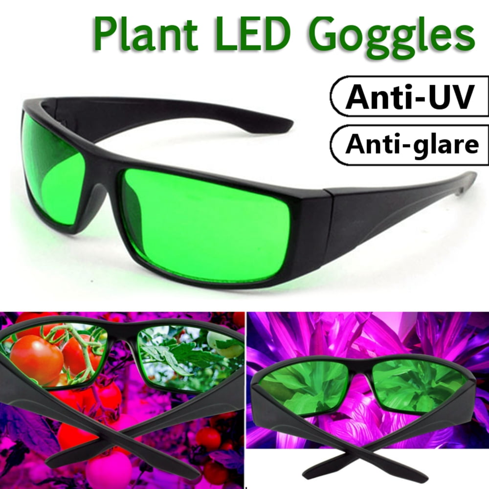 anti led