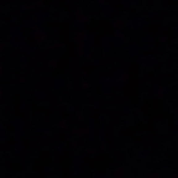 Andrew W.K. - God Is Partying - Music & Performance - Vinyl