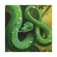 thumbnail image 4 of Green Tree Python Beauty - Canvas, 4 of 25