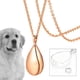 thumbnail image 2 of Collar de urna con colgante de gota, recuerdo conmemorativo para mujeres y hombres, soporte para joyas de cenizas rosa áurea, 2 of 8