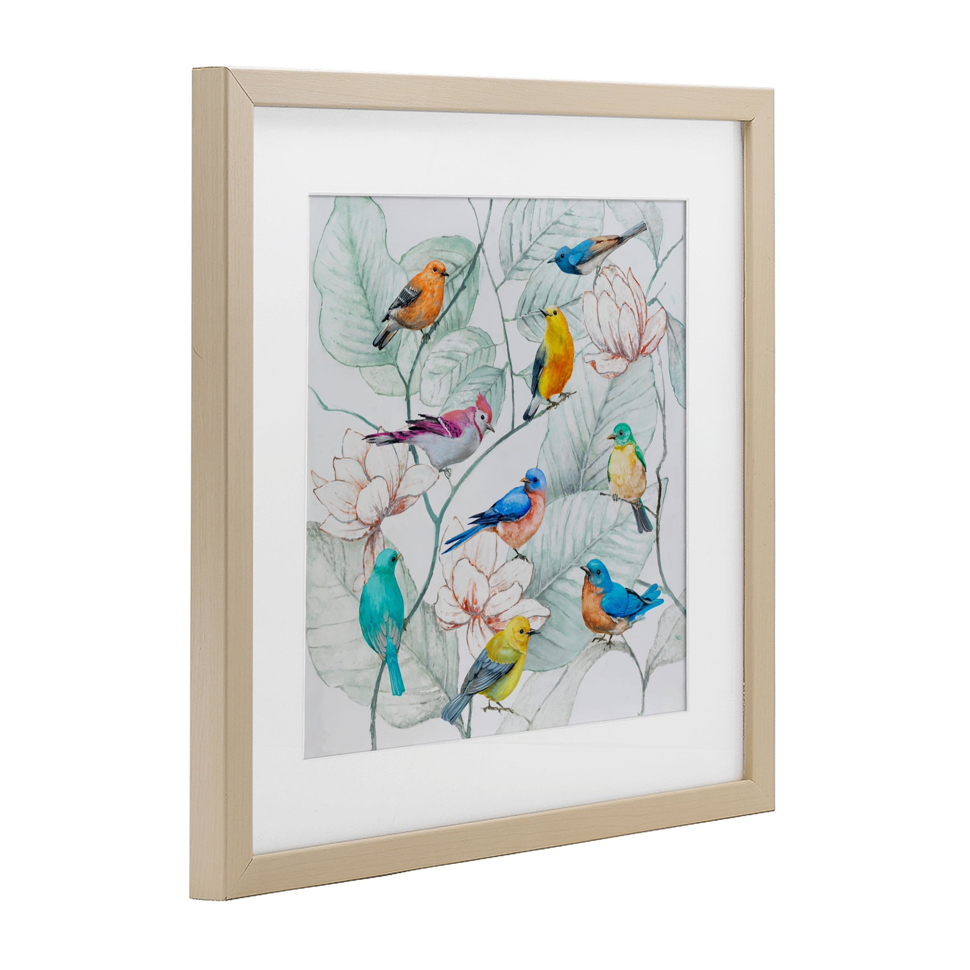 Stupell Industries Colorful Array Of Birds Birch Framed Print Under Glass, design by Lorenzo Collective