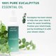 thumbnail image 4 of Bruma de ducha MOXE, aceite de eucalipto, 120 ml, aromaterapia, fabricada en EE. UU., 4 of 7
