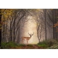 thumbnail image 2 of wall26 - Fallow Deer Standing in a Dreamy Misty Forest, with Beautiful Moody Light in The Middle and Framed by Darker Trees - Removable Wall Mural | Self-Adhesive Large Wallpaper - 100x144 inches, 2 of 5