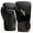 Black/Gold, variant on Hayabusa Sport Boxing Gloves - Black/Gold, 16oz