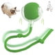 thumbnail image 1 of Ruifaya Pelota inteligente para gatos, juguete eléctrico con bola rodante automática, juguete interactivo para gatos y perros✔, 1 of 7