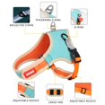 thumbnail image 5 of New Design Suede Dog Harness With Leash Puppy Adjustable Reflective Vest Cat Pet Harness For Small Medium Dogs Walk Lead Leashes, 5 of 5