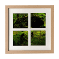 thumbnail image 1 of Herbe Verte Forêt Science Nature Paysage Cadre Mur Table Affichage 4 Ouvertures Image, 1 of 3