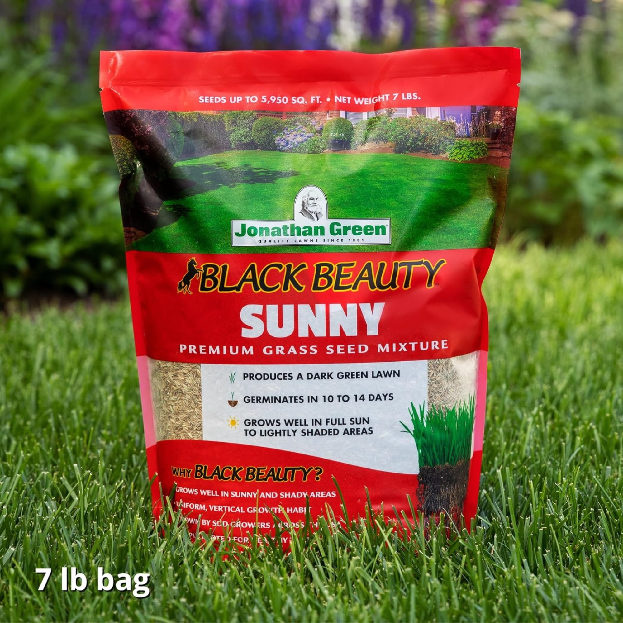 Jonathan Green Black Beauty 7 Lb. 2975 Sq. Ft. Coverage Full Sun Grass Seed