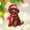 Brown Standard Poodle Ornament, variant on Havanese Shape Ornament Christmas 2025, Personalized Havanese Decor Xmas Ornament Gift for Dog Mom Dad Dog Lover Grandpa Grandma, Custom Year & Name Puppy Keepsake Xmas Ornaments for Holiday Birthday