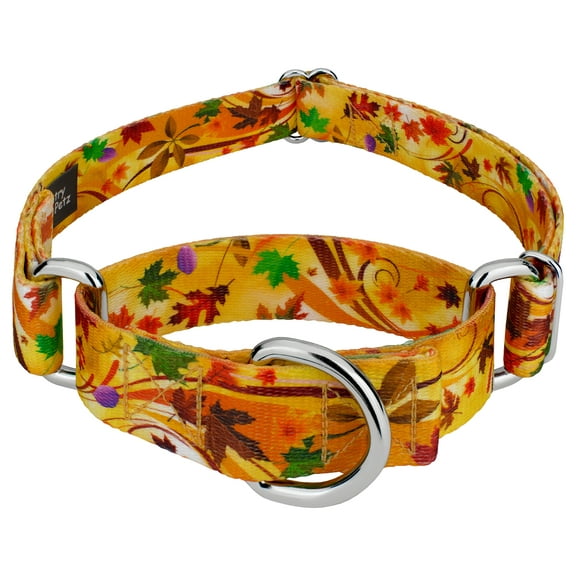 Country Brook Petz® Autumn Wind Martingale Dog Collar, Small