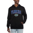 thumbnail image 4 of Men's Colosseum Black Florida Gators Arch & Logo 3.0 Pullover Hoodie, 4 of 4