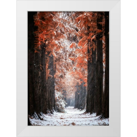 Seo, Tiger 24x32 White Modern Wood Framed Museum Art Print Titled - Snowy Day