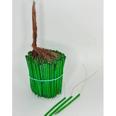 Wired Wood Picks 2.5" Package of 500 Picks in Green