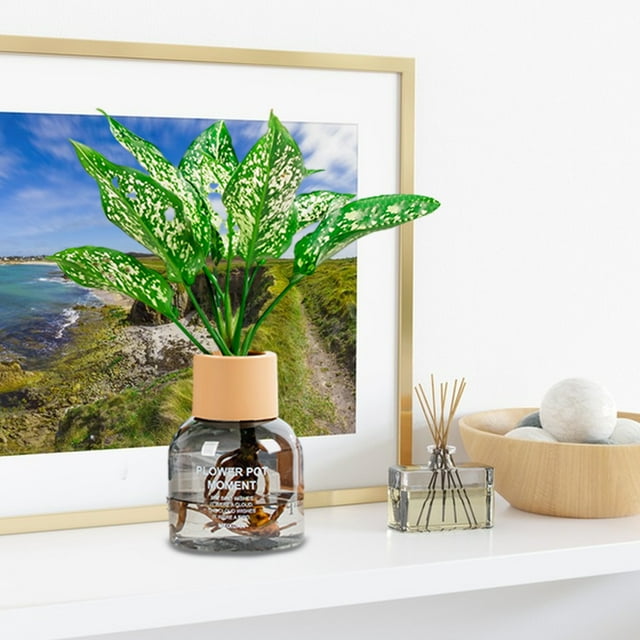 Pot de Fleurs Paresseux Auto-Absorbant Multicolore avec Réservoir d'Eau, Petit Pot en Plastique Transparent, Capacité d'Eau de 30 Jours, Design Concis, Déco Intérieure de Bureau pour les Amateurs de Plantes Vertes