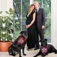 thumbnail image 2 of 2 Pack Big Sister Brother Dog Bandana Buffalo Plaid Triangle Dog Scarf Pregnancy Announcement Bandana for Small Medium Large Dogs Pets (Big Sister), 2 of 5