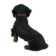 thumbnail image 3 of Zeckos Delightful Lil Hot Dogger Dachshund Dog With Sign Figure, 3 of 3