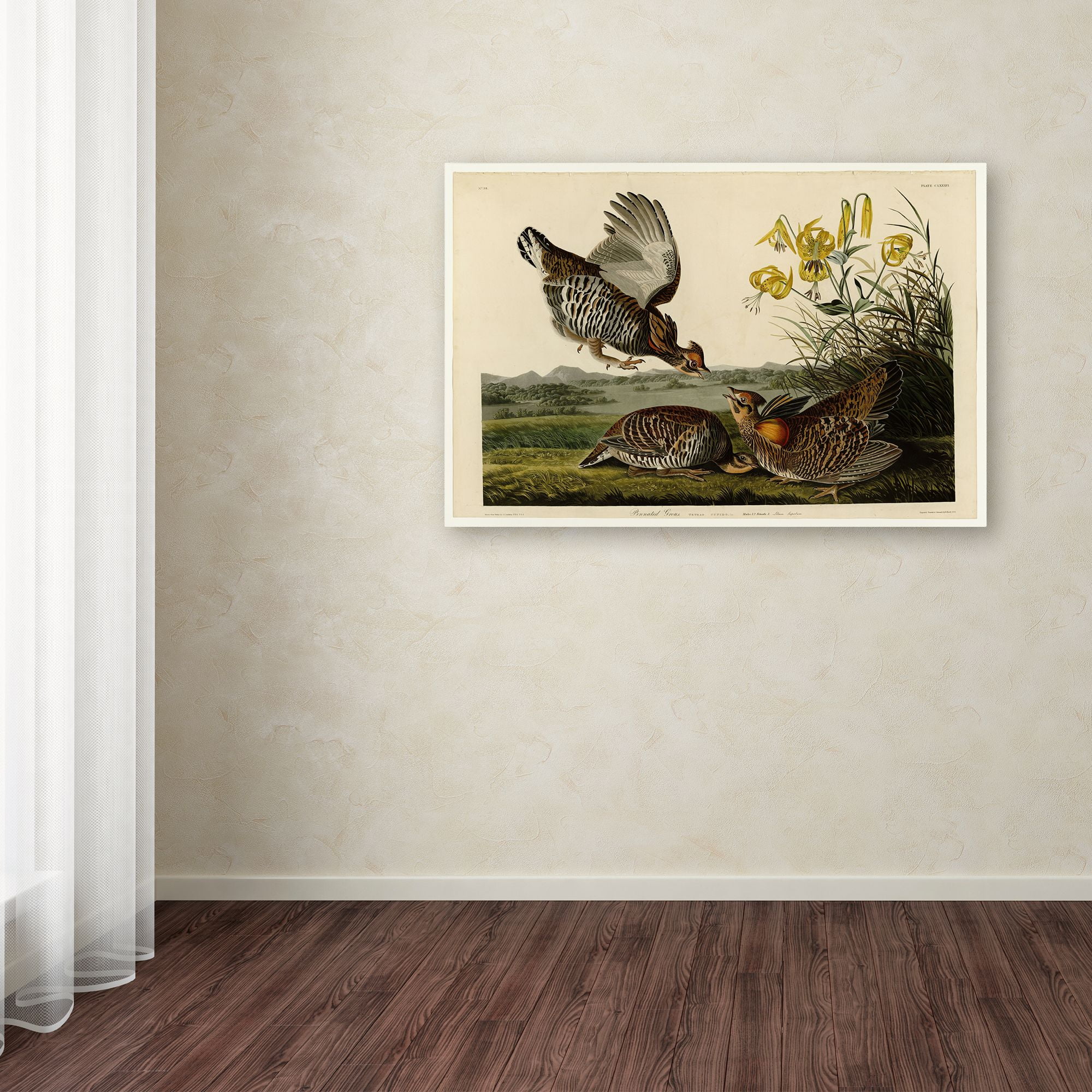 Audubon 'Pinnated Grouseplate 186' Canvas Art