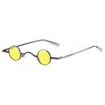 thumbnail image 3 of ibiyuan Sunglasses For Women Women Men Retro Round Sunglasses Hip Hop Fashion Vintage Trendy Sun Shades Eyewear, 3 of 3