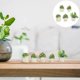 thumbnail image 4 of 5Pcs Mini Plant Bonsai Adornment Resin Bonsai Decor Micro Landscape Prop, 4 of 4