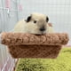 thumbnail image 4 of Small Pet Cage Hammocks Double Layer Glider Hammocks Bed Warm Cage Hanging Hammocks For Guinea Pig Ferret Squirrels Hamster Rats Playing Sleeping, 4 of 6