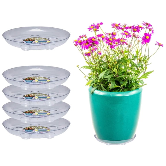 Curtis Wagner Plastics Carpet Saver Plant Saucer (5-Pack) - Clear, Round (Diameter: 6" Base, 8" Top, 1.5" Depth) Thick Plastic Plant Drip Trays to be Used as Indoor Pot/Outdoor Plant Saucers