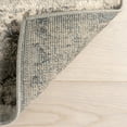 thumbnail image 3 of Nuloom Aella Distressed Medallion Area Rug, 9' x 12', Aella Beige, 3 of 9
