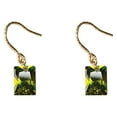 thumbnail image 1 of Guardurnaity 2 uds pendientes gancho de plata esterlina circón cuadrado oreja alambre colgante pendiente fiesta accesorios de joyería cumpleaños Ropa, zapatos y accesorios Miscelánea, 1 of 6