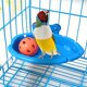 thumbnail image 3 of Baño para pájaros mejorado CHAO lavabo colgante 10 x 18,5 x 4 cm, 3 of 5