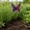 Multicolor369, variant on WDOBM Garden Decor, Outdoor Waterproof Garden Decor, Metal Yard Art for Outdoor Spring Decor, for Walkway Backyard Patio Decorations-Unique Gift Ideas for Gardening