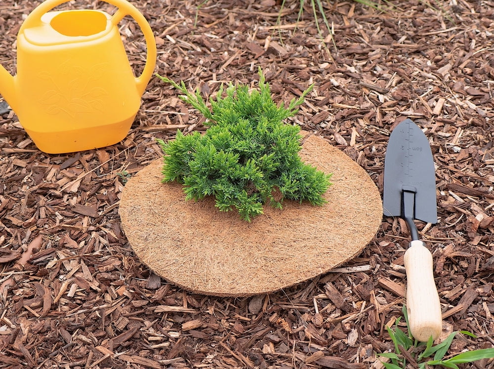 Envelor 15 pcs Coconut Fibers Mulch Ring  11 Inches Tree Protector Mat Coconut Mulch Cover Natural Coconut Fiber Weed Control Rings, Tree Ring Plant Cover for Indoor Outdoor Plants, Pot, Landscaping