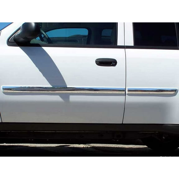 Stainless Rocker Panel Trim 4Pc Fits 2006-2007 Chevy Trailblazer TH47165 QAA