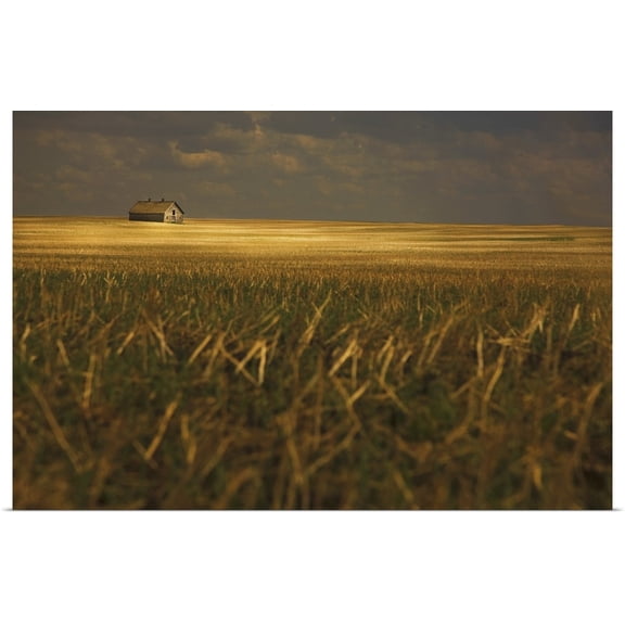 Great BIG Canvas | Rolled Darren Greenwood Poster Print entitled An Old Barn In A Field, Tofield, Alberta, Canada
