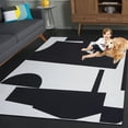 thumbnail image 5 of SAFAVIEH Malibu Asteria Abstract Polyester Machine Washable Area Rug, Black/Ivory, 4' x 6', 5 of 13