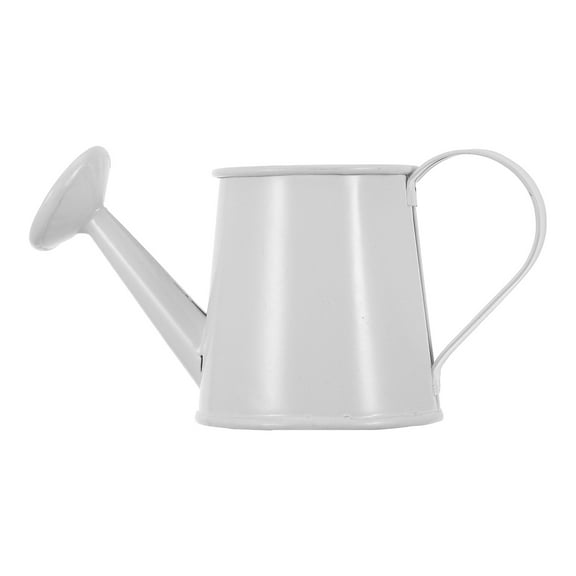 LOLIPPYY Small Watering Can Trendy Iron Water Can for Plants 1Set White