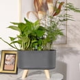 thumbnail image 3 of de riego ático pequeña con 2 agujeros dobles, de interior con sustrato de s para Aloe, hierba, Negro con Pierna Macarena Jardinera de riego automático, 3 of 5