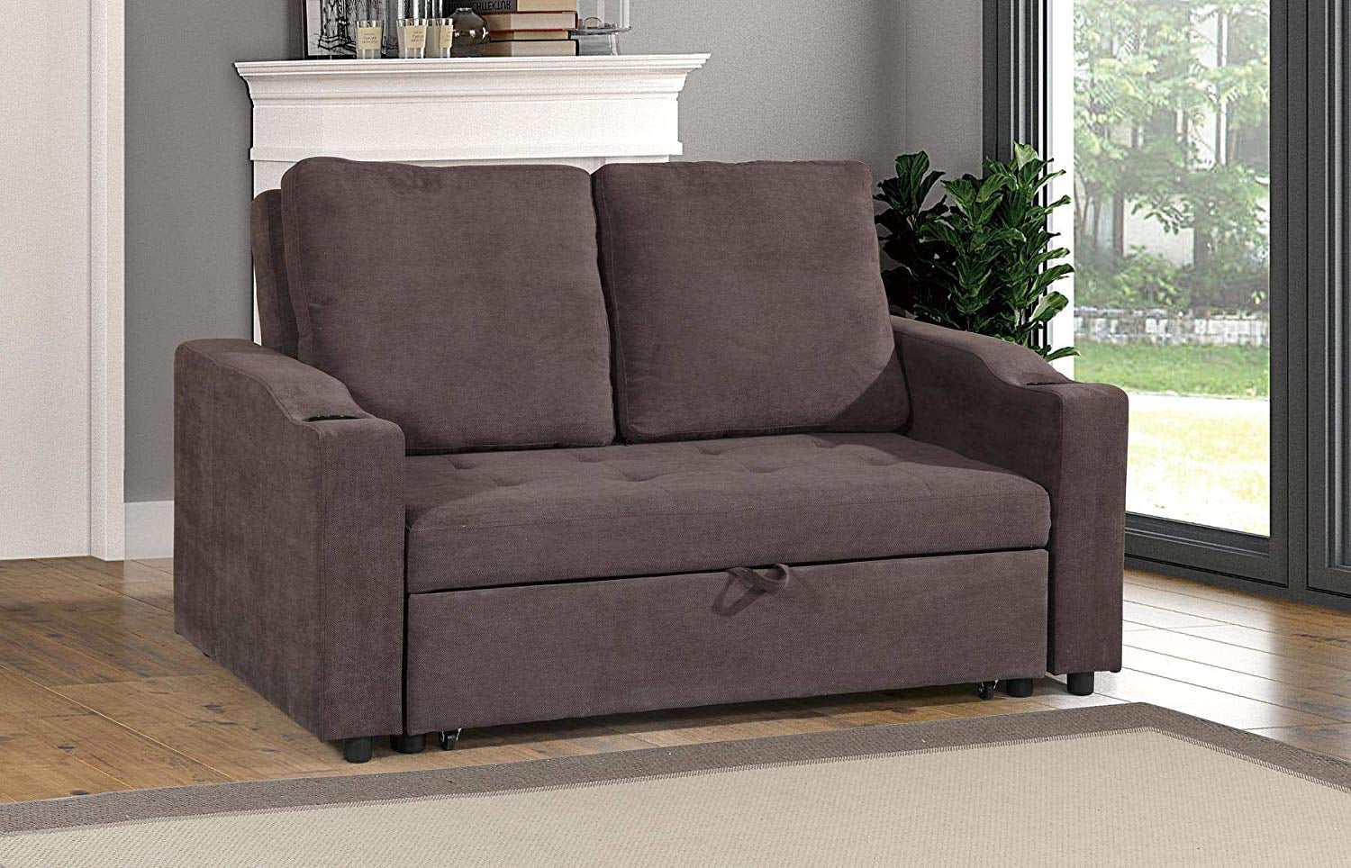 couch with pull out bed