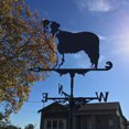 thumbnail image 4 of Veleta Weathervane para montaje en techo, patio, jardín, granja, , Collies Sunnimix Veleta, 4 of 7