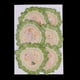 thumbnail image 1 of 6 Unidades De Verduras Secas Naturales, Cabaza , Rebanadas, Espécimen De Naturales Pa Diy Caja Del Teléfono Móvil Decoración Jabón Fa BLESIY Frutas naturales secas, 1 of 8
