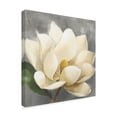thumbnail image 2 of Trademark Fine Art 'Magnolia Blossom on Gray' Canvas Art by Albena Hristova, 2 of 3