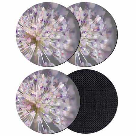 Fantasy Dandelion Coasters Set of 4 Absorbent Coasters for Drinks Modern Magical Plants Flowers Spring Coaster for Desk Coffee Table Protection Home Decor House Warming Gifts 4
