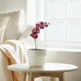 thumbnail image 5 of Clearance | Dull Red 9 Heads Artificial Phalaenopsis Orchid Stem, 69cm Tall Faux Orchid Flower with Bendable Branches for Living Room Entrance Desktop Vase Decoration, 5 of 6