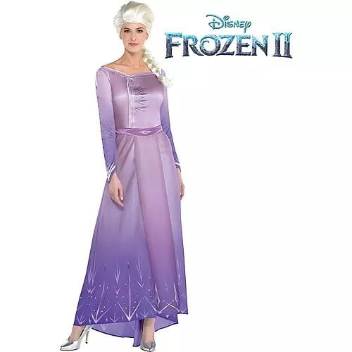 Adult Act 1 Elsa Costume - Frozen 2-M 