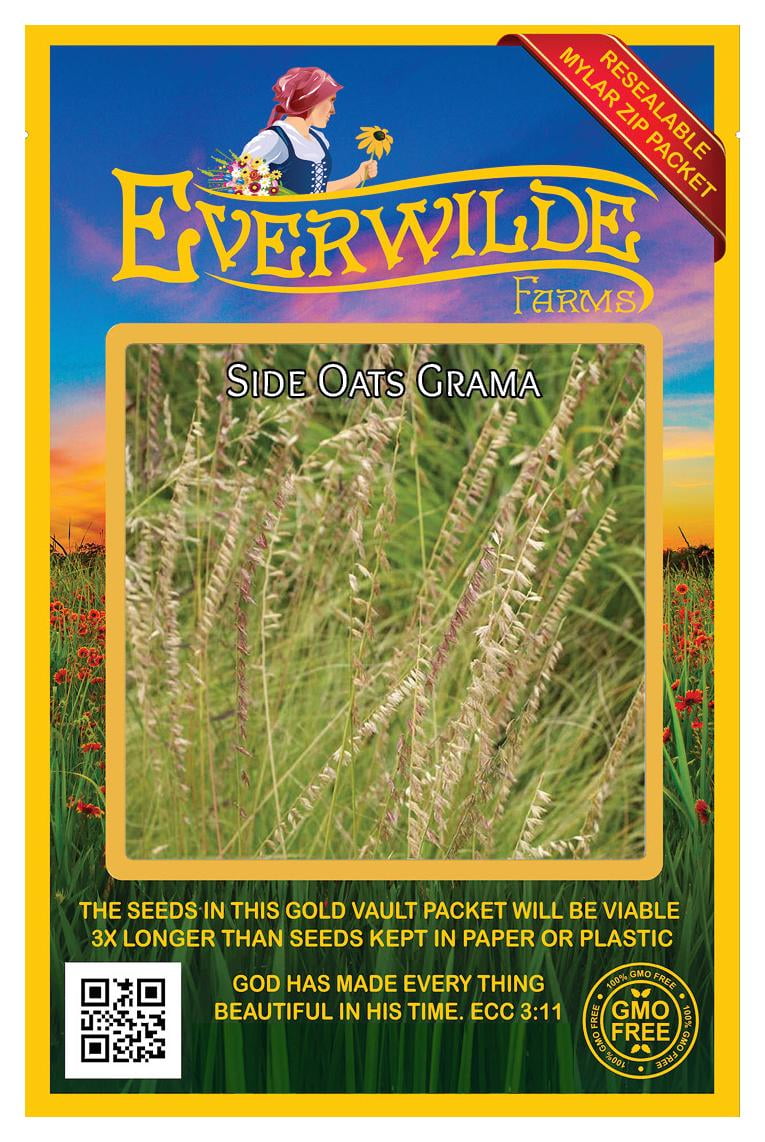 Everwilde Farms 1000 Side Oats Grama Native Grass Seeds Gold Vault