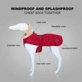 thumbnail image 3 of Venta al por mayor, ropa cálida de invierno para perros, chaqueta impermeable para perros, abrigo grueso para perros oso de fresa Hogar, 3 of 3