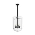 thumbnail image 2 of Hunter - Sacha 4-light Natural Black Iron, Medium Size Pendant Light, Dimmable, Modern Style, Urn Shaped, for Bedrooms, Dining, Living Rooms - 19320, 2 of 9