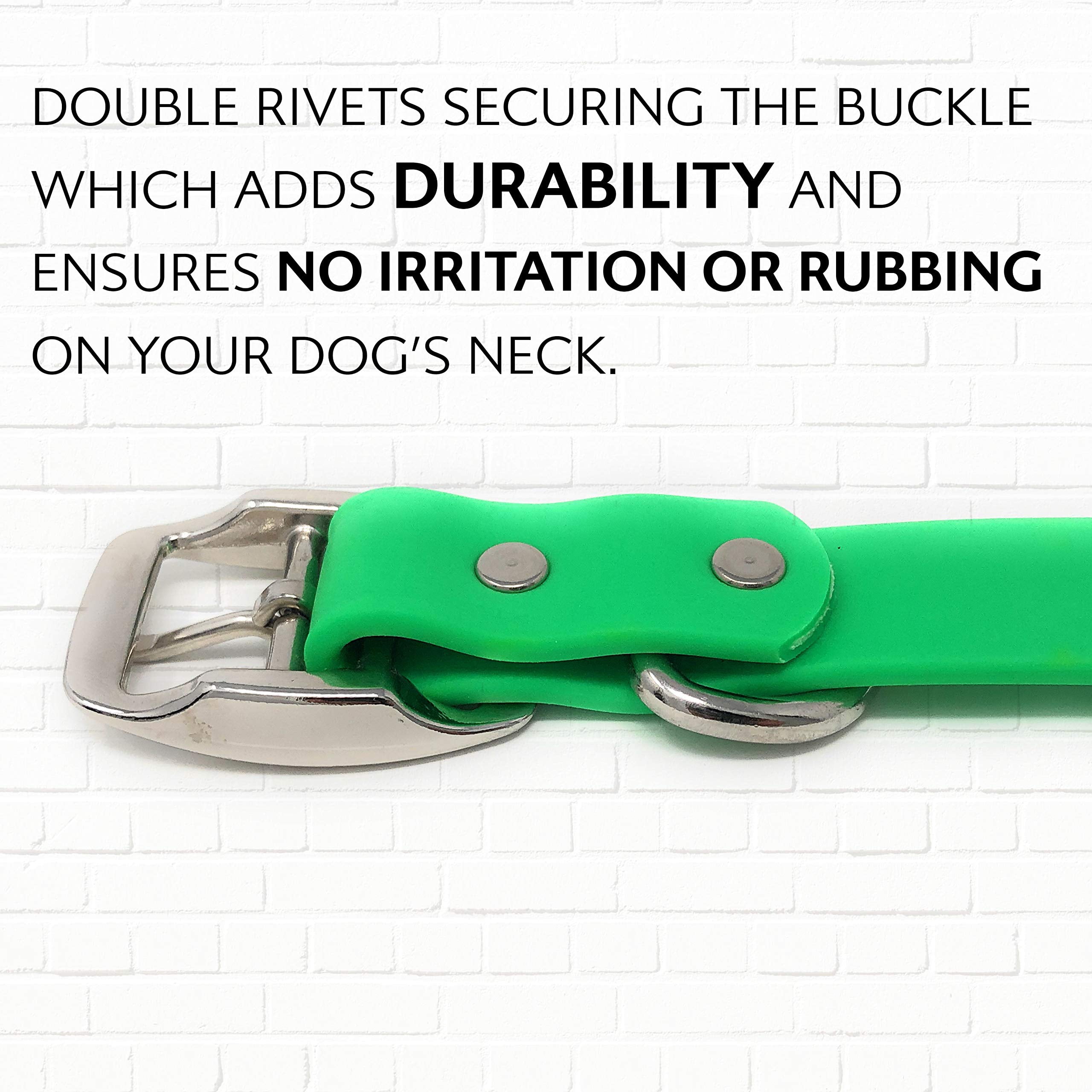Regal Dog Products Waterproof Collar with Double Buckle and D Ring