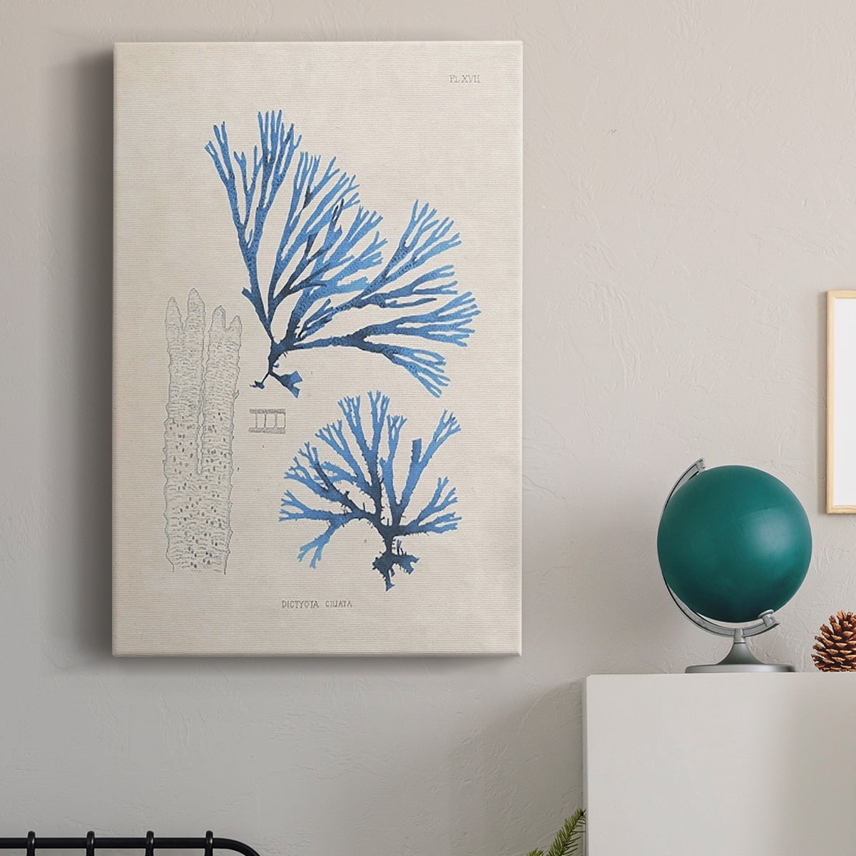 Blue Marine Algae V Premium Gallery Wrapped Canvas - Ready to Hang
